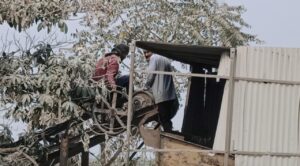 How many more people will die in crusher plants due to lack of safety equipment?