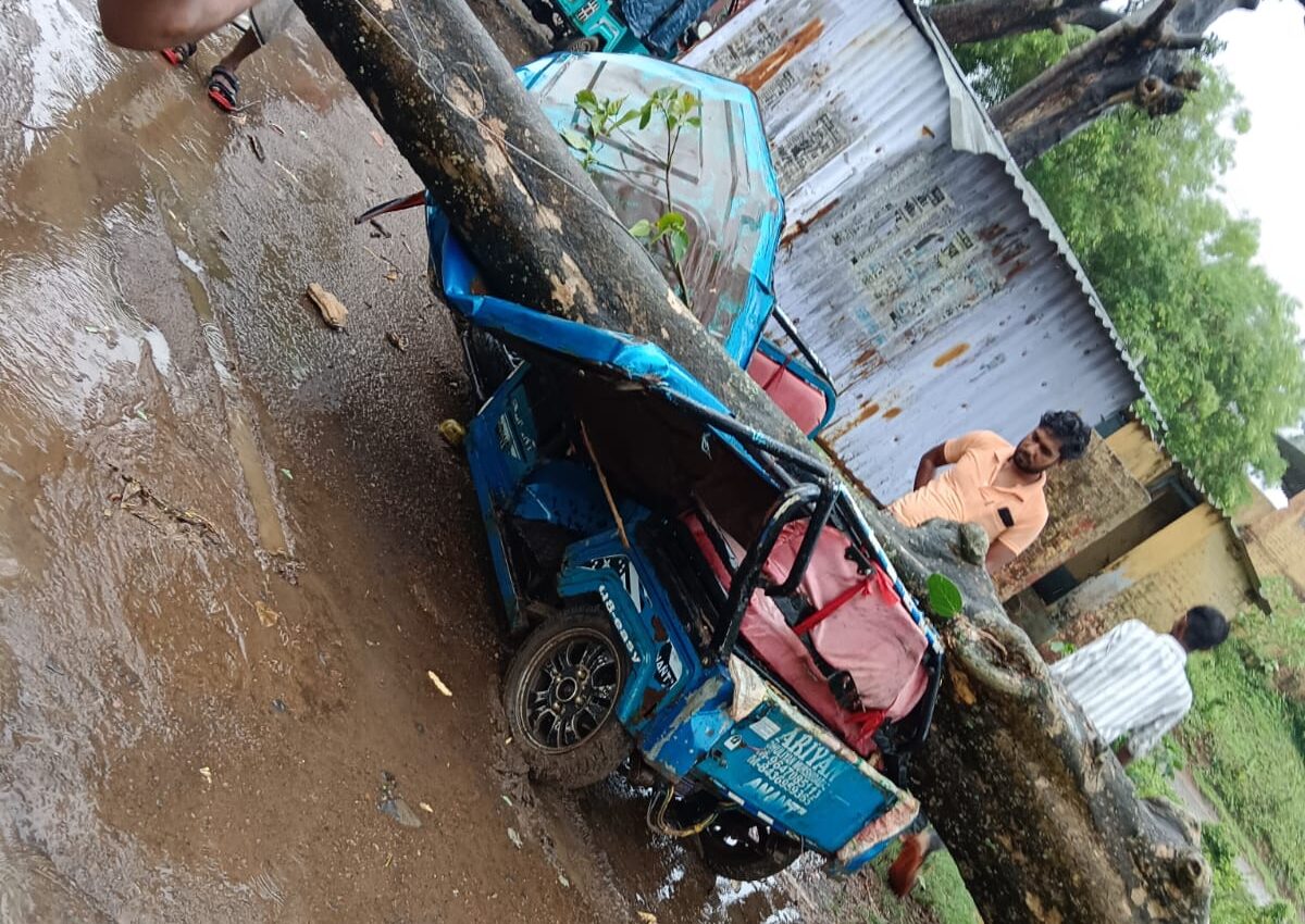Sahibganj: A major accident was averted at Gumani station, a tree fell on an e-rickshaw