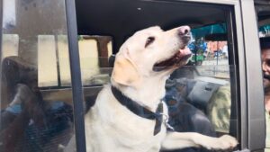 Investigation into the suspicious death of constable in Sahibganj intensifies, DIG said, it will be revealed soon