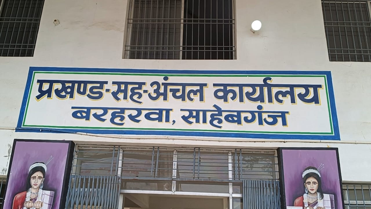 Audio of journalist and Home Guard jawan of Barharwa region goes viral: "CO sahab will not take any risk... Collect Rs. 2000 per day from the magistrate at the check post."