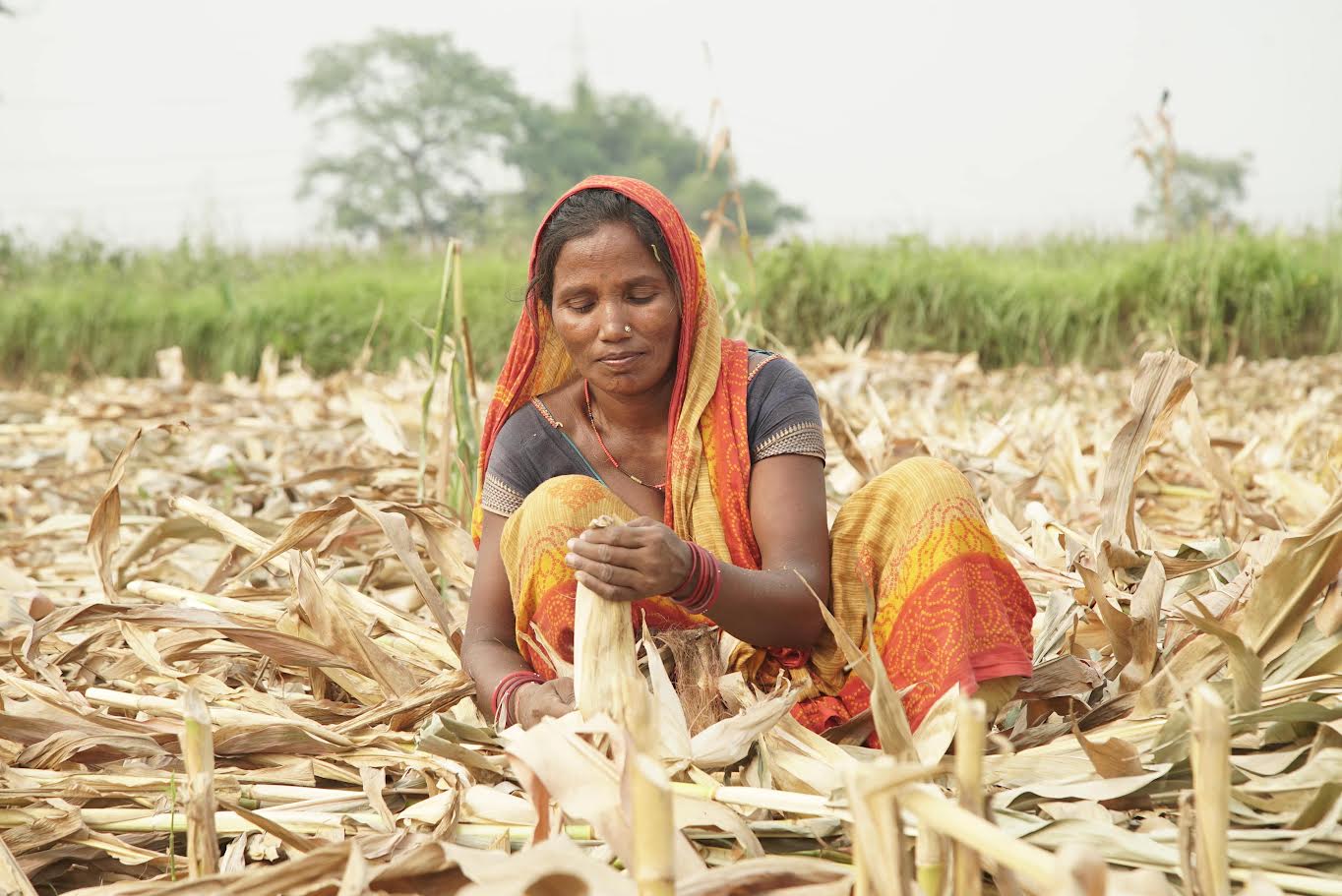 Patna: Now farmers are deciding the price and direction: New story of agricultural change in Bihar