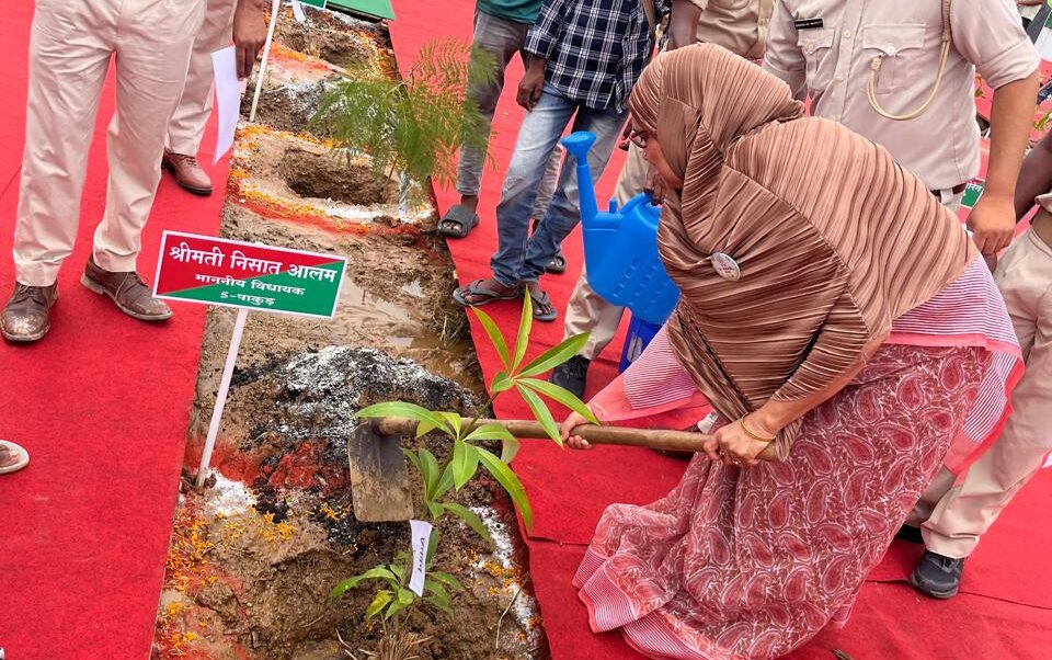 Ranchi: MLA Nisat Alam planted trees in the newly constructed MLA housing complex in Ranchi