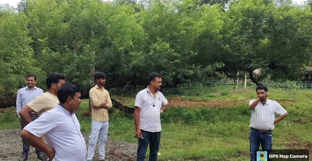 Sahibganj: Review of the renovation work of horticulture nursery, emphasis on providing quality plants to farmers
