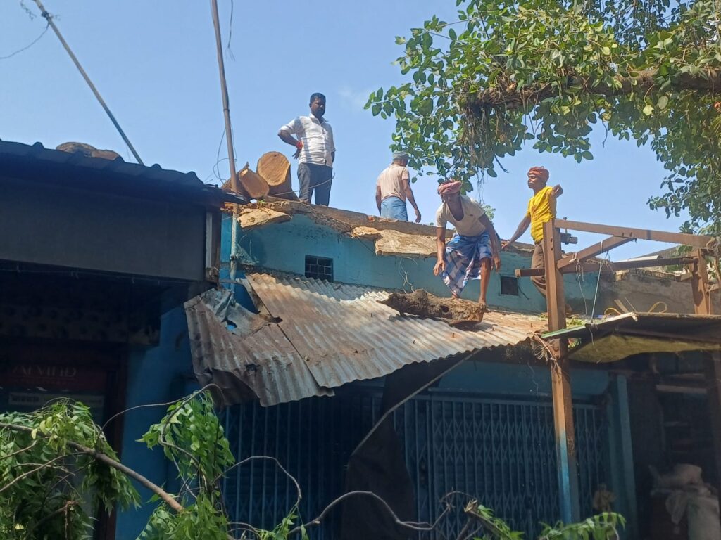 Sahibganj: Shop Damaged by Tree Uprooted in Fierce Storm; Municipal Council Chairperson Shows Promptness, Wins Hearts by Securing Compensation