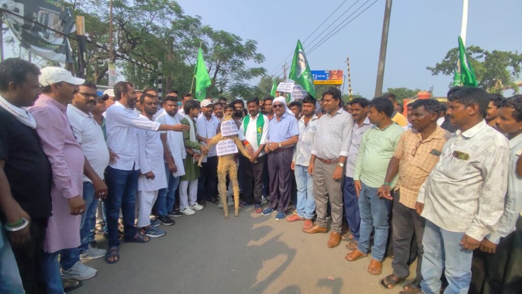 JMM Stages Protest in Sahibganj over NEET Paper Leak; Burns Effigy of Union Education Minister